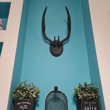 아파트호텔 Turquoise Lofts
